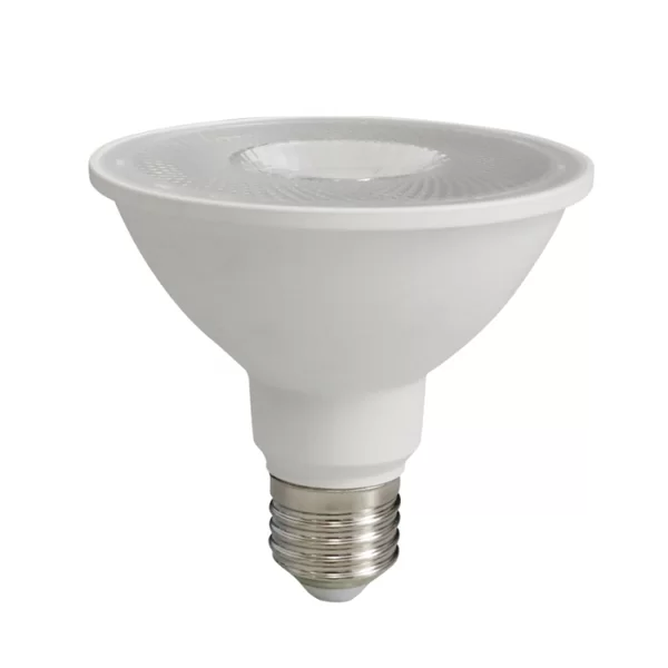 lamp led par30